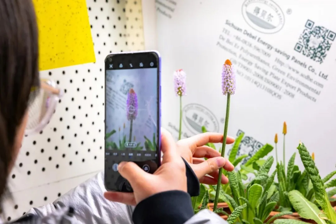 拍照记录 拍照记录